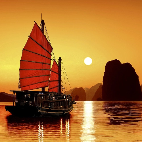 Vietnamca Terc�me Noter Tasdikli
